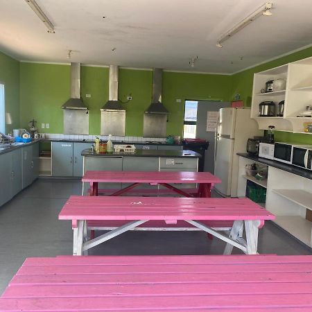 Peace Haven Backpackers Vandrarhem Blenheim Exteriör bild